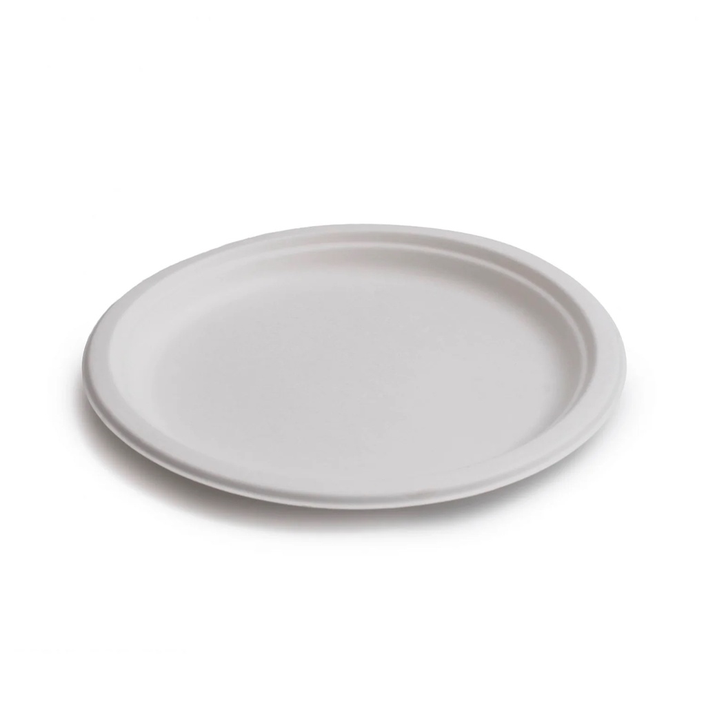 PLATO BIO 6"
